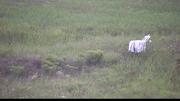 capture-5-23-08-15_08-04-45-15