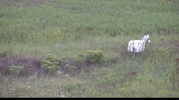 capture-5-23-08-15_10-38-29-73