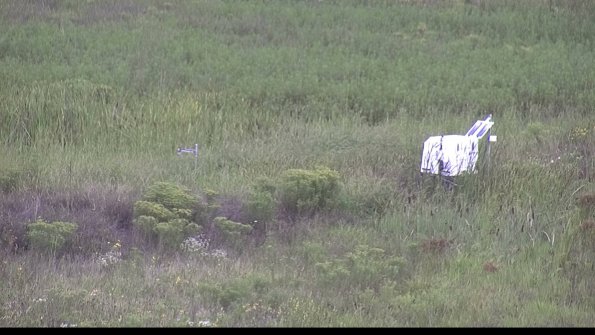 capture-5-23-08-15_11-20-30-07