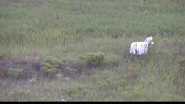 capture-5-23-08-15_11-42-29-78