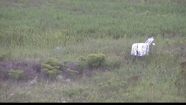 capture-5-23-08-15_11-54-30-33