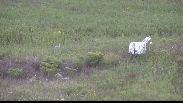 capture-5-23-08-15_12-00-29-96