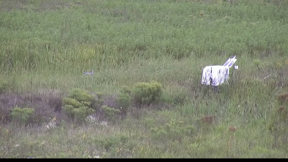 capture-5-23-08-15_12-04-29-50