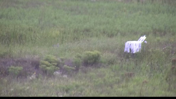 capture-5-23-08-15_12-16-29-99