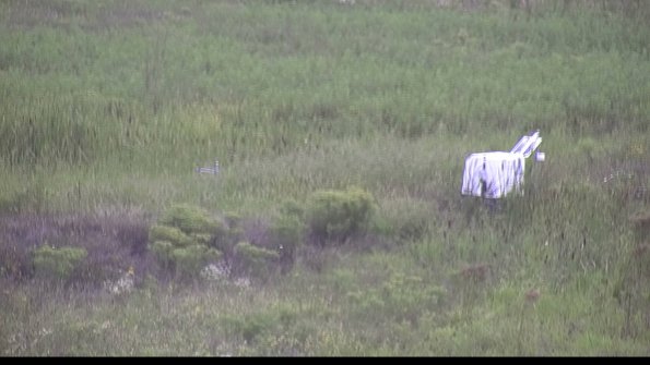 capture-5-23-08-15_13-34-29-68