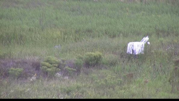 capture-5-23-08-15_13-40-29-54