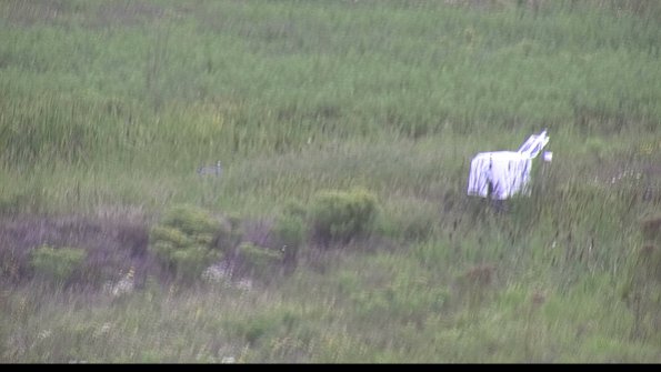 capture-5-23-08-15_13-48-29-49