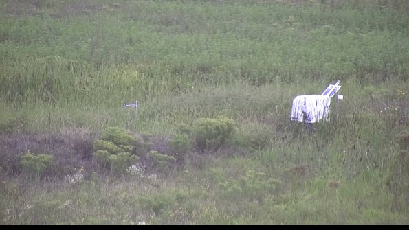 capture-5-23-08-15_15-48-29-85