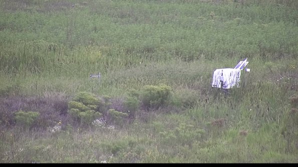 capture-5-23-08-15_15-56-30-64