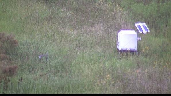 capture-6-23-08-15_07-48-58-51