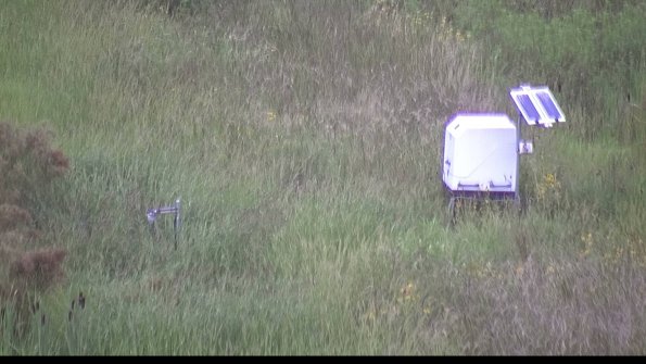 capture-6-23-08-15_07-50-58-70