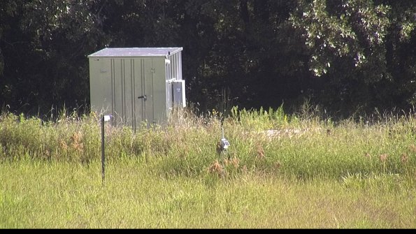 capture-2-23-08-16_10-28-06-99