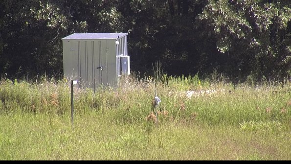 capture-2-23-08-16_11-22-07-25