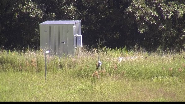 capture-2-23-08-16_11-26-07-02