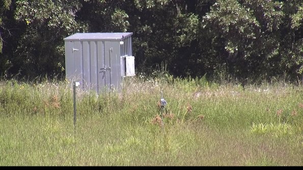 capture-2-23-08-16_13-18-06-70