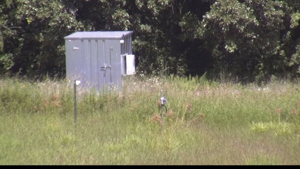 capture-2-23-08-16_13-50-06-74