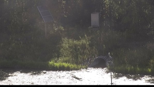 capture-3-23-08-16_10-40-19-86