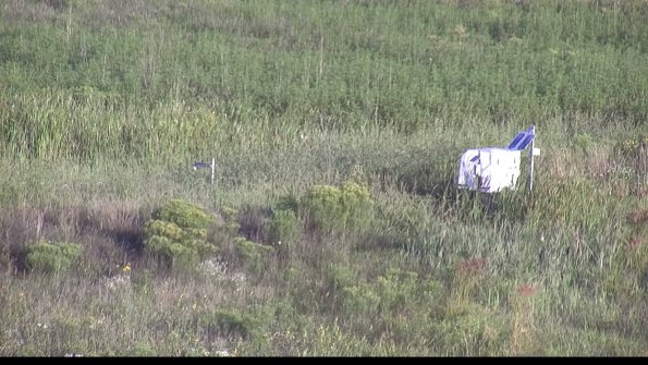 capture-5-23-08-16_07-58-49-40