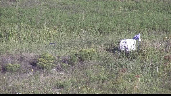 capture-5-23-08-16_08-42-50-16