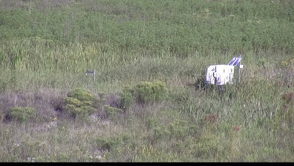 capture-5-23-08-16_09-12-50-15