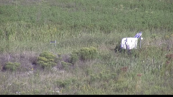 capture-5-23-08-16_09-16-50-34