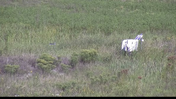 capture-5-23-08-16_10-26-49-98