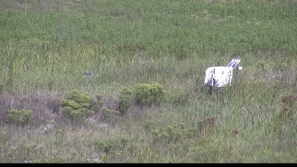 capture-5-23-08-16_10-36-49-95