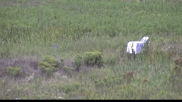 capture-5-23-08-16_12-26-49-59