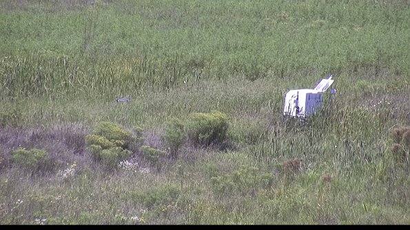 capture-5-23-08-16_13-50-51-35