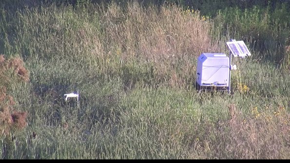 capture-6-23-08-16_07-55-04-28