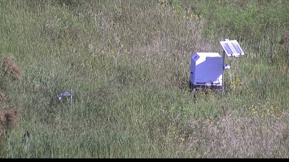 capture-6-23-08-16_10-33-05-19