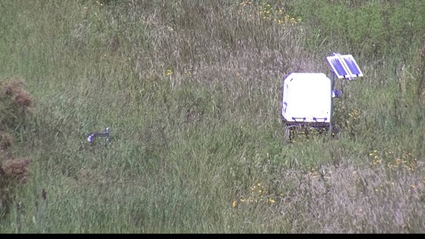 capture-6-23-08-16_13-49-04-54