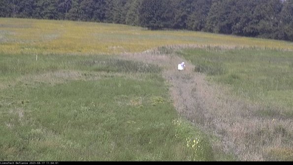 Cell 1 to 2_23-08-17_11-04-01-86