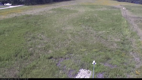 Cell 1_23-08-17_11-03-47-88