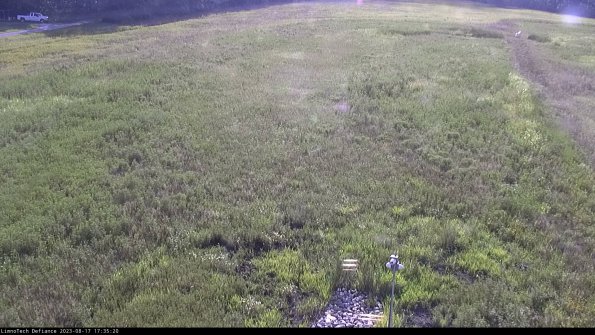 Cell 1_23-08-17_17-35-20-86