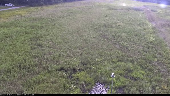 Cell 1_23-08-17_18-42-20-87