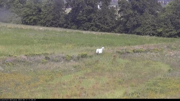 Cell 2 to 3_23-08-17_11-00-58-21