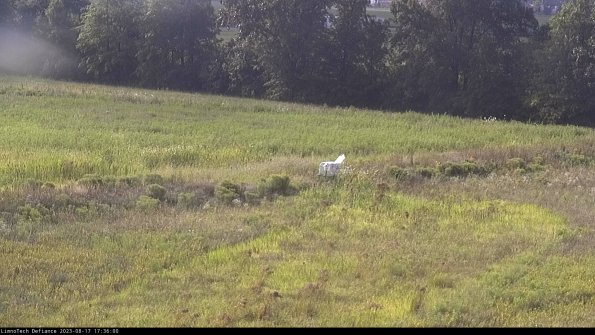 Cell 2 to 3_23-08-17_17-36-01-04