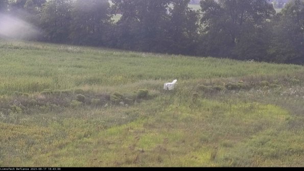 Cell 2 to 3_23-08-17_18-43-00-91