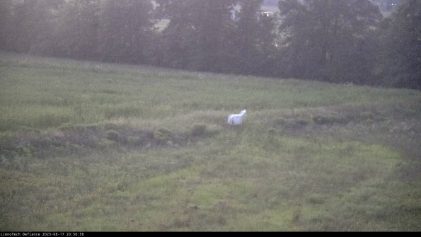 Cell 2 to 3_23-08-17_20-56-57-05