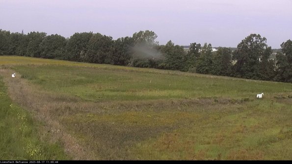 Cell 2_23-08-17_11-00-45-57