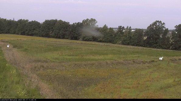 Cell 2_23-08-17_11-04-14-94