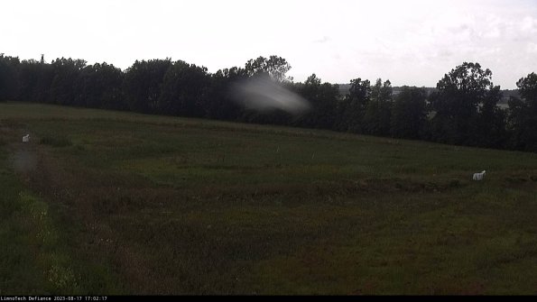 Cell 2_23-08-17_17-02-17-91