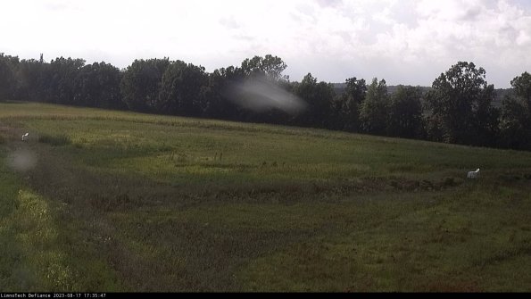 Cell 2_23-08-17_17-35-47-92