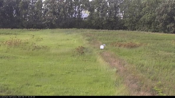 Cell 3 to 4_23-08-17_16-29-29-89