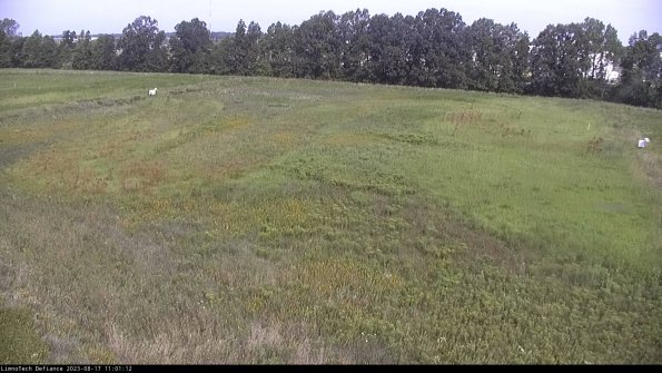 Cell 3_23-08-17_11-01-12-89