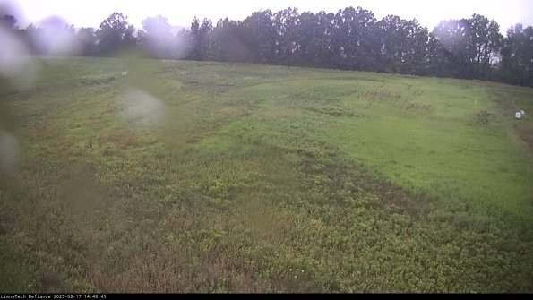 Cell 3_23-08-17_14-48-45-89