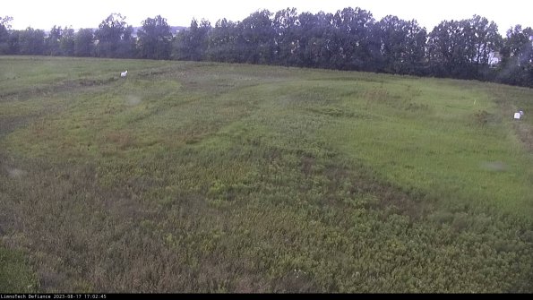 Cell 3_23-08-17_17-02-45-87