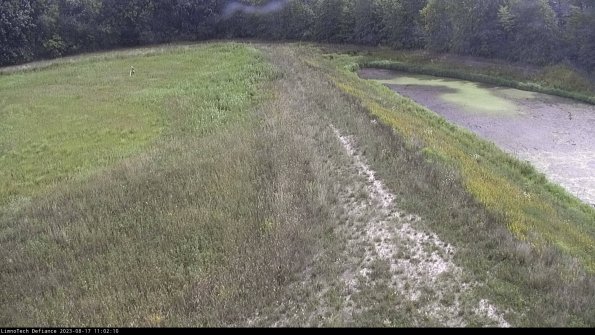 Cell 4 to Basin_23-08-17_11-02-10-92