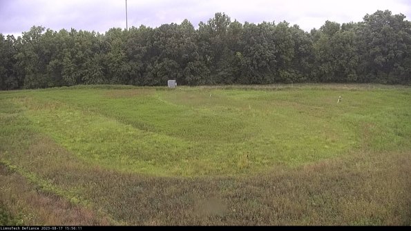 Cell 4_23-08-17_15-56-11-88